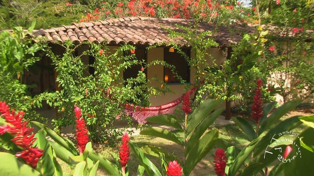 Pousada Tassimirim Velha Boipeba Exteriér fotografie