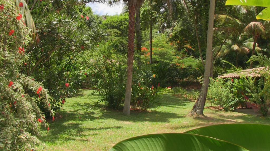 Pousada Tassimirim Velha Boipeba Exteriér fotografie